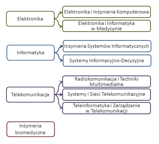 Graf specjalości na studiach pierwszego stopnia