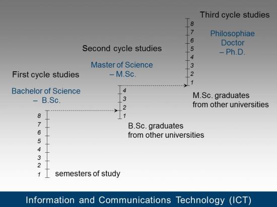 Structure of studies in English