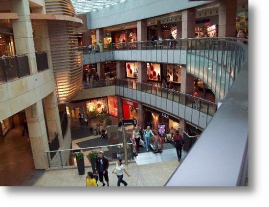 shopping