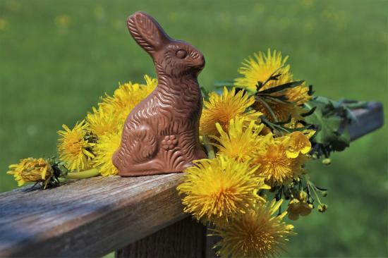 Happy Easter! (photo by pasja1000)